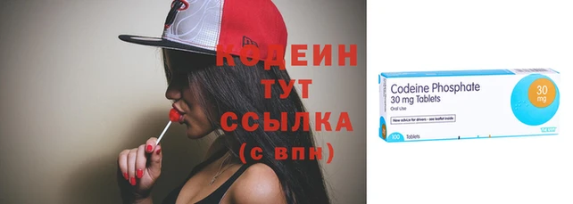 крисы Новокубанск